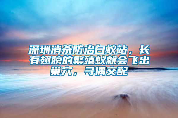 深圳消殺防治白蟻站，長有翅膀的繁殖蟻就會(huì)飛出巢穴，尋偶交配