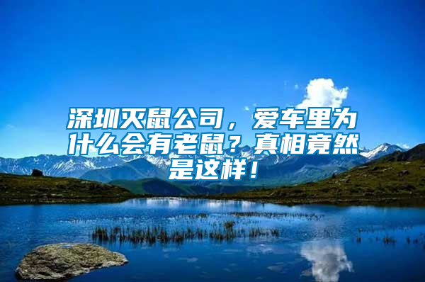 深圳滅鼠公司，愛(ài)車?yán)餅槭裁磿?huì)有老鼠？真相竟然是這樣！