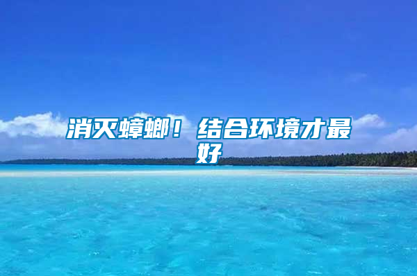 消滅蟑螂！結合環境才最好