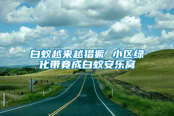 白蟻越來越猖獗 小區綠化帶竟成白蟻安樂窩