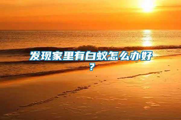 發(fā)現(xiàn)家里有白蟻怎么辦好？