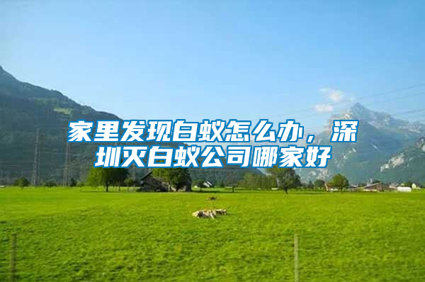 家里發現白蟻怎么辦，深圳滅白蟻公司哪家好