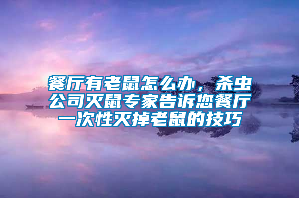 餐廳有老鼠怎么辦，殺蟲公司滅鼠專家告訴您餐廳一次性滅掉老鼠的技巧