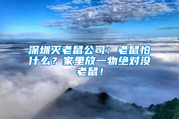 深圳滅老鼠公司：老鼠怕什么？家里放一物絕對沒老鼠！